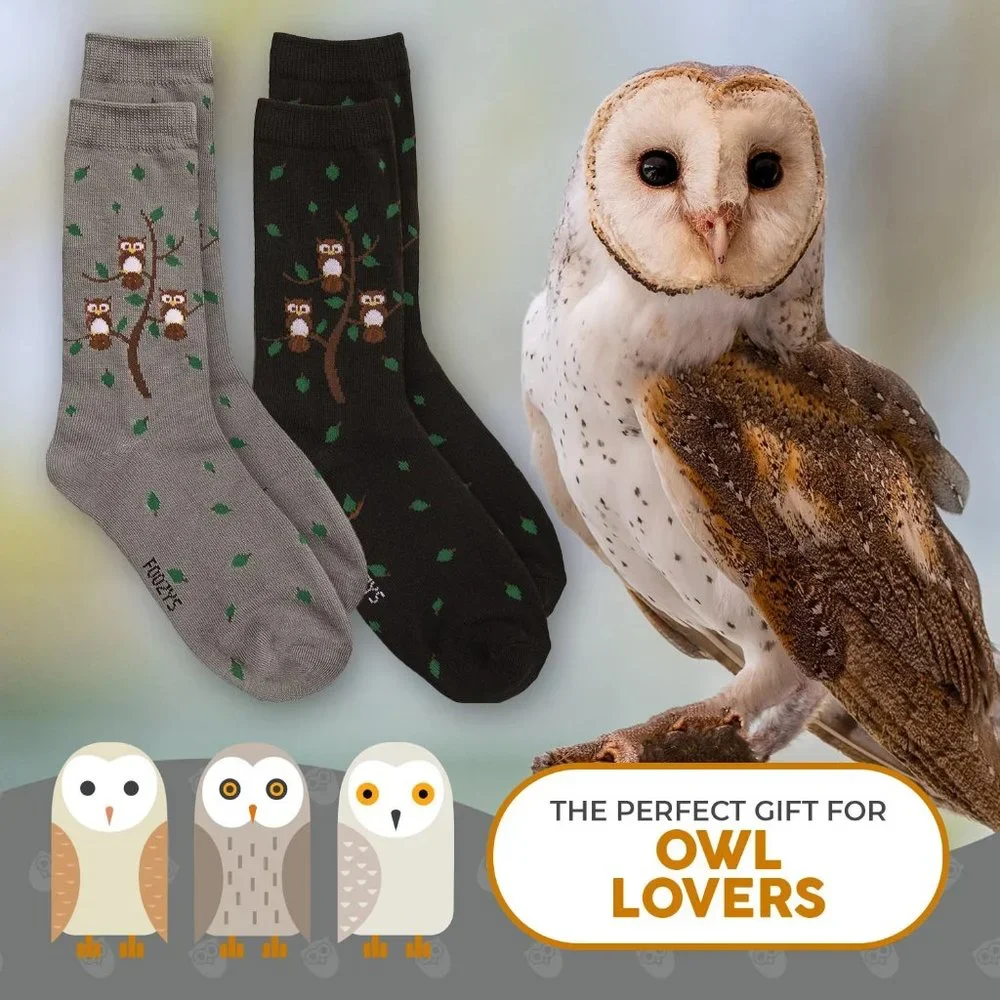 Owl Family Tree Hoot Bird Wise Horned Owls Animal 2 Pairs Foozys Women's Socks